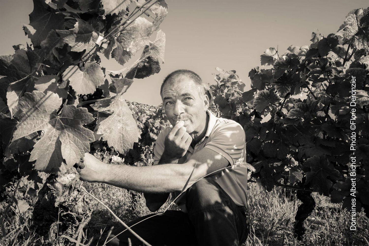 Domaine Adelie