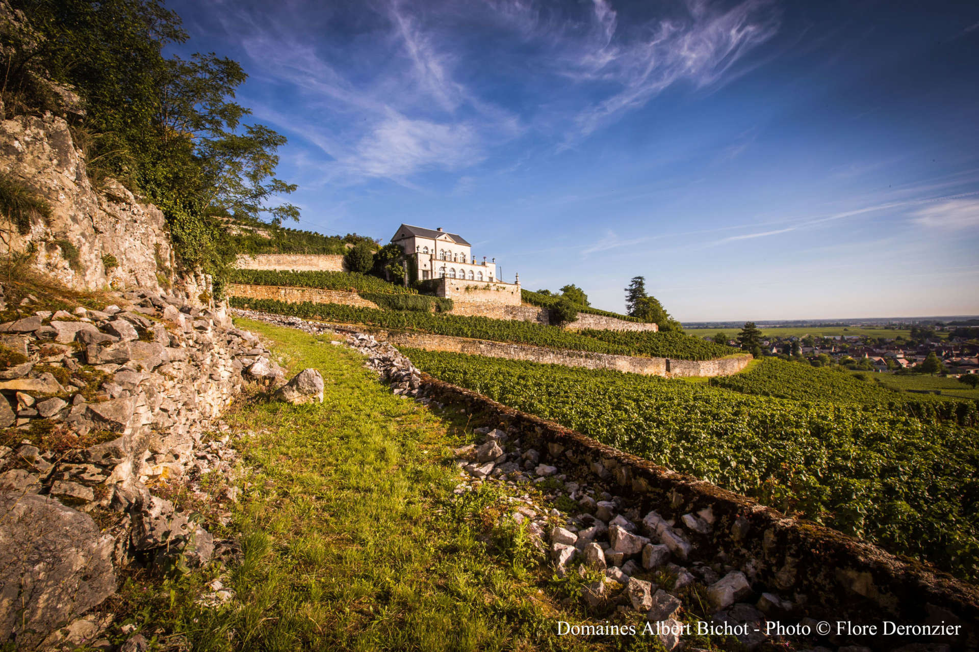 Chateau Gris
