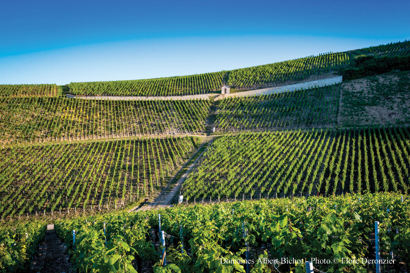 Domaine Long Depaquit
