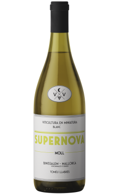 Supernova Blanc