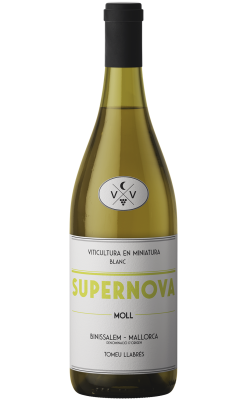 Supernova Blanc