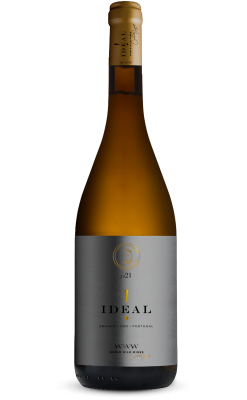 Ideal Branco 2023