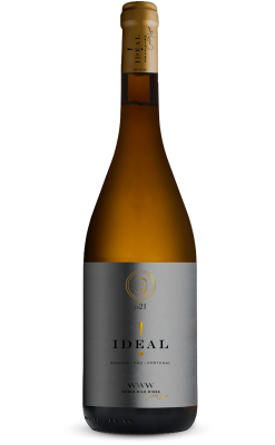 Ideal Branco 2023