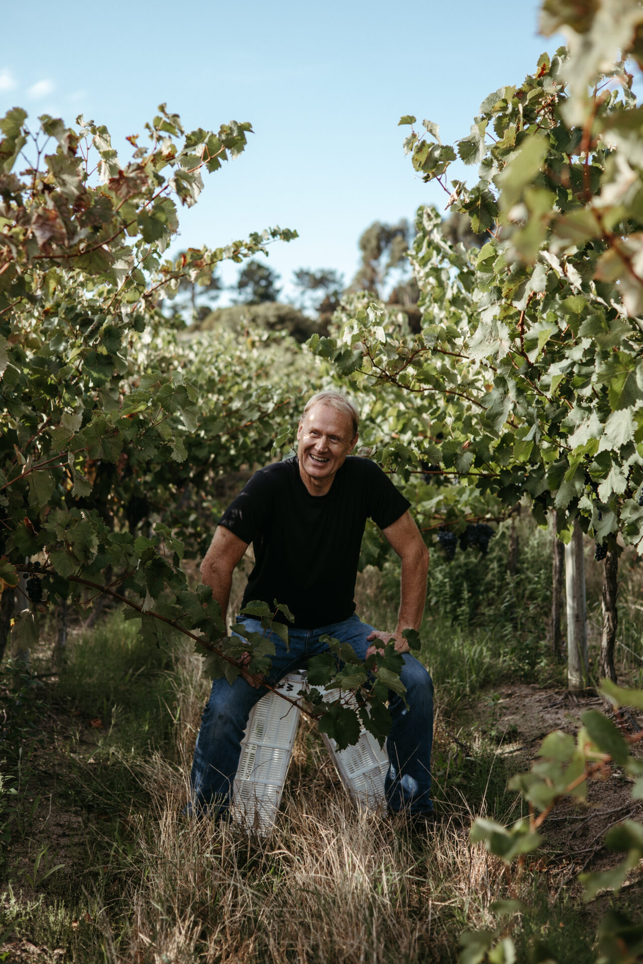 Kershaw Wines