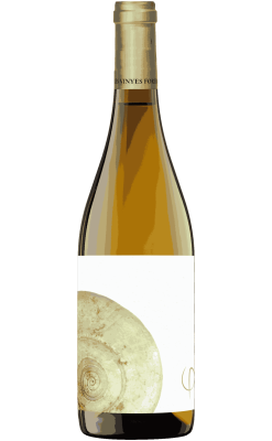 Bellesa Perfecta White 2023