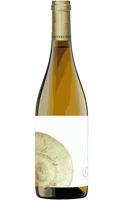 Bellesa Perfecta White 2023