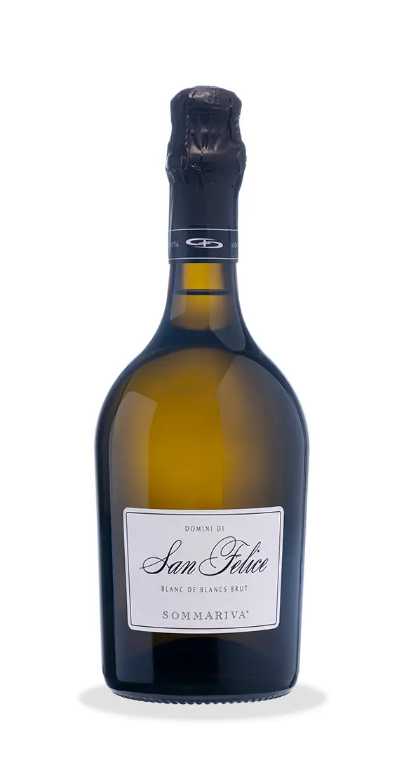 Domini Di San Felice Brut