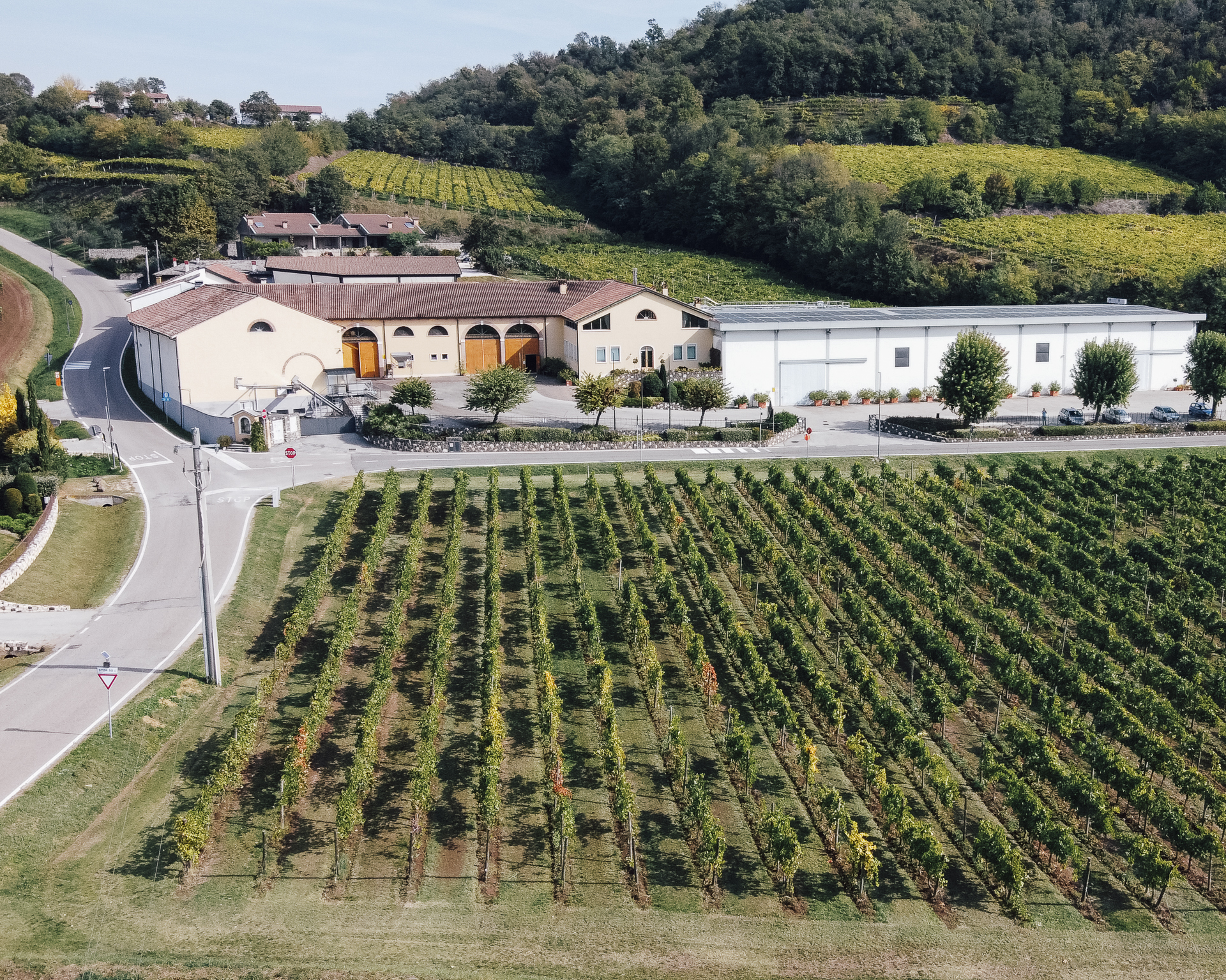 Cantina Cavazza