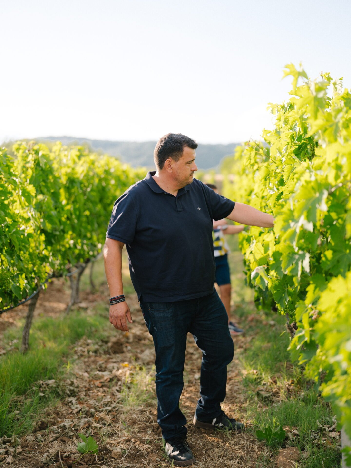 Arktos Elevation Vineyards
